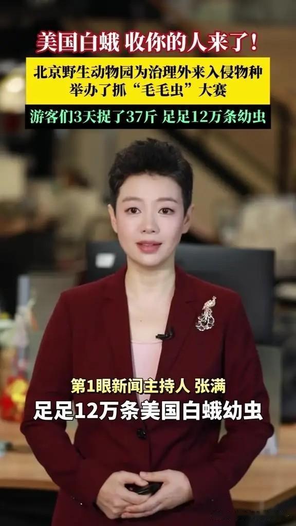 北京野生动物园抓毛毛虫，3天抓走37斤、12万条。园方原本只办3天，结果游客抓上