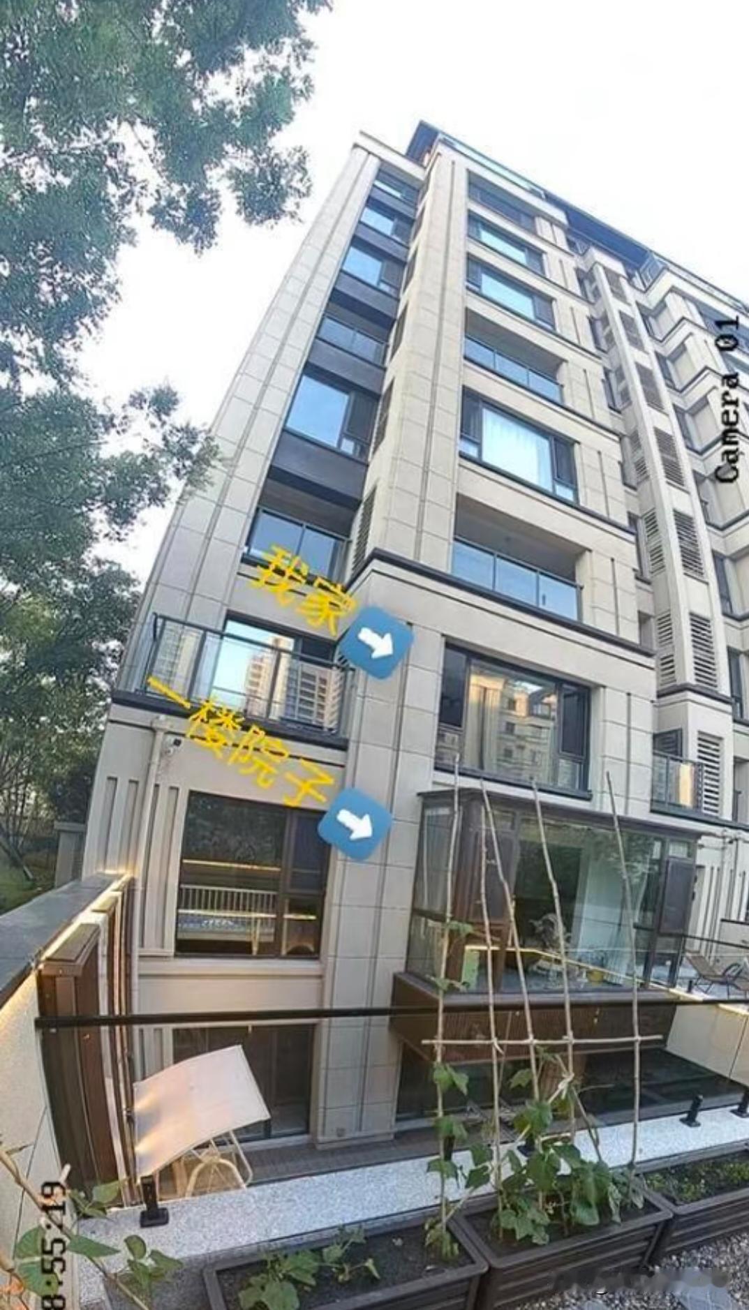 求助，怎么解决一楼院子安摄像头拍上来。我是今年一月份搬的新家，前天发现一楼院子