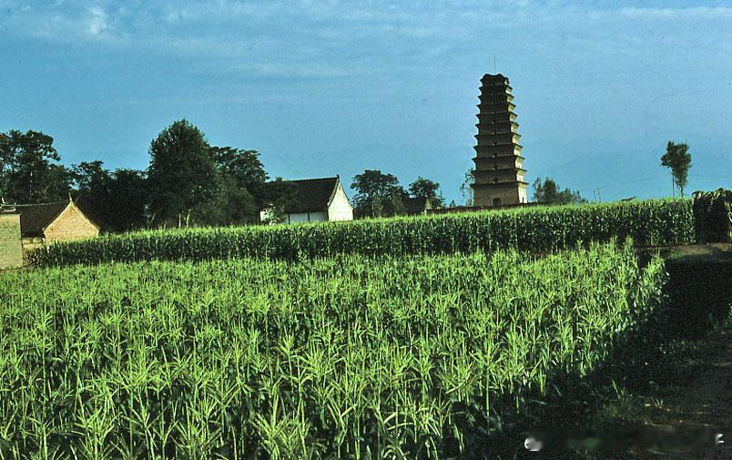 老照片八十年代西安老照片