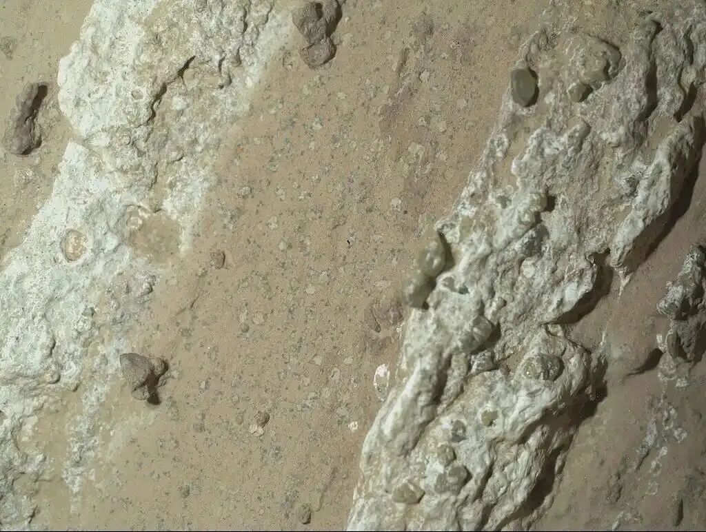 大成果? 炒热点? 确认“火星生命”先别急