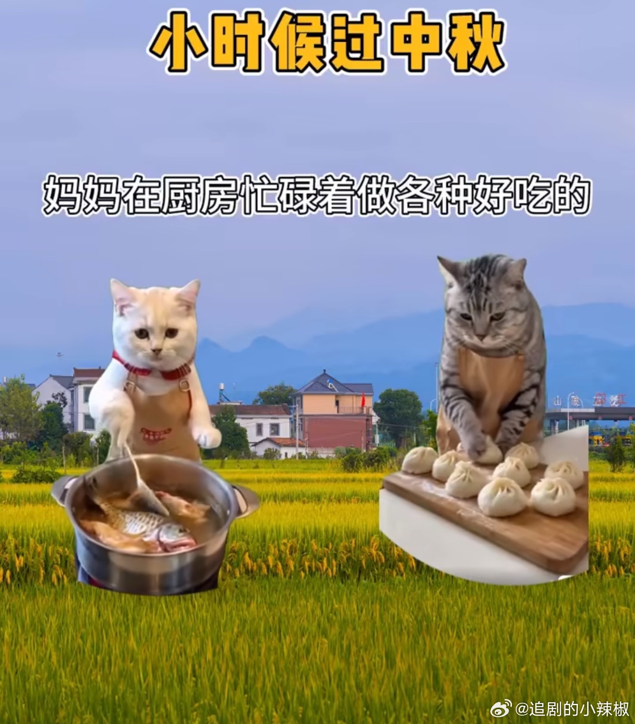 以前过中秋vs现在过中秋哈哈哈太真实了​​​