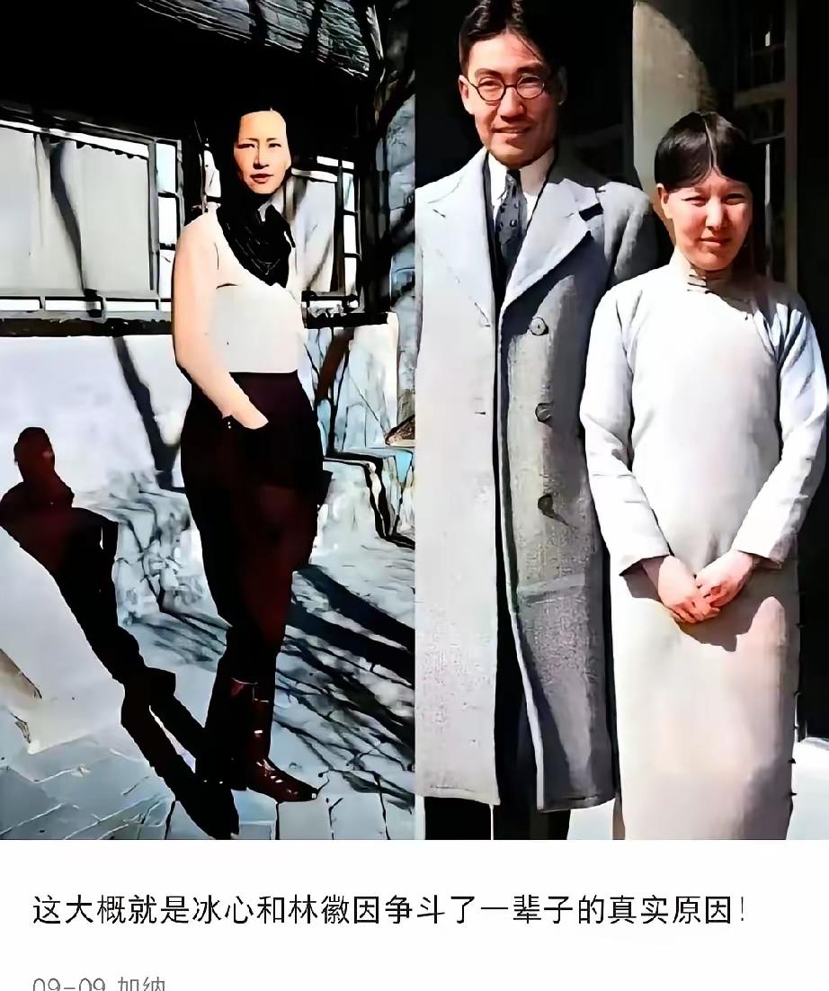 小时候不明白冰心和林徽因为何彼此看不顺眼，都说文人相惜，可她们怎么就跟仇人似的呢
