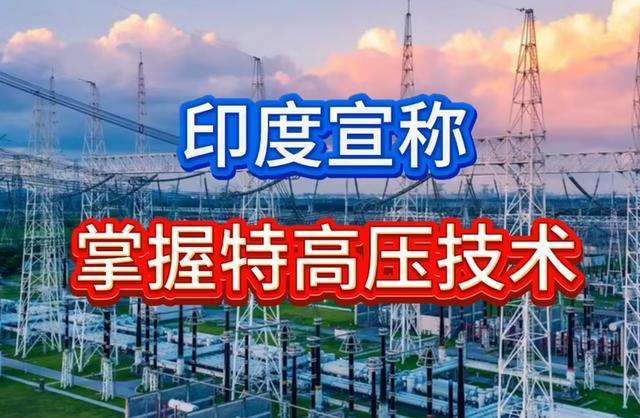 资本为了短期利益，不惜将绞索售予对手——特变电工、保变电器便是例证。它们落入印度