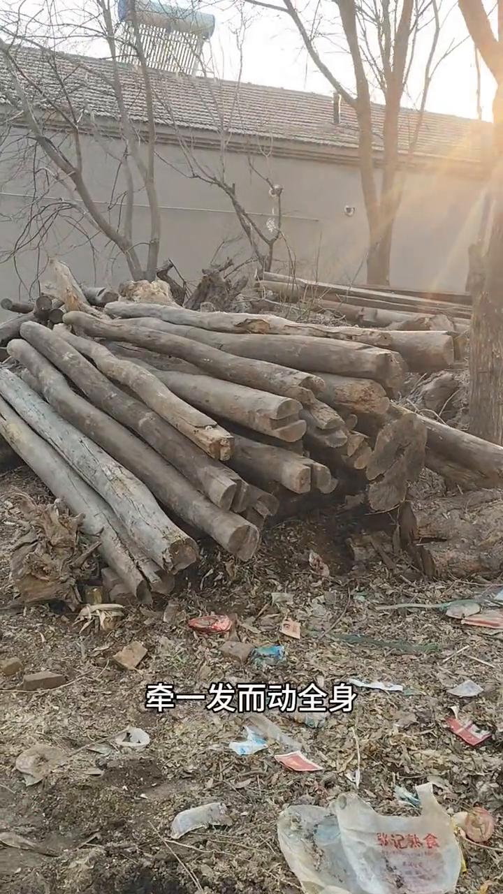 地方小东西多，很多木头都要码放到一起。找一根木料有时候要翻开很多，为了倒出那一