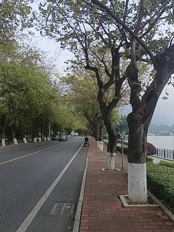 你敢相信吗？所以就是肇庆一个拥有两个5a级风景区的城市一个就是鼎湖山，一个