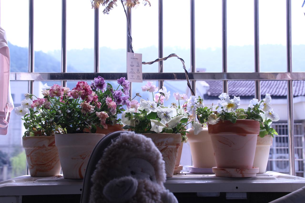 刚才前夫给我打电话了，看着手机上那串来自天津的号码，我愣一秒便接了。猜到