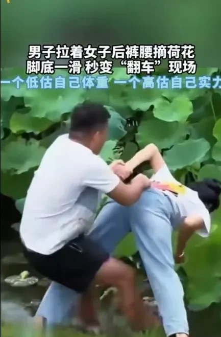 笑喷了！一男子拉着女子的后裤腰去摘荷花，没想到脚底下一滑，秒变“翻车”现场，这可