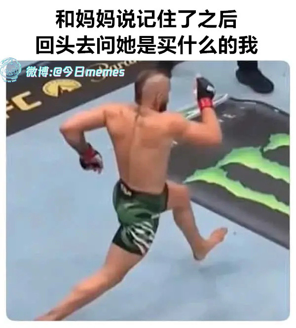 番瓜西茄今日meme今日memes