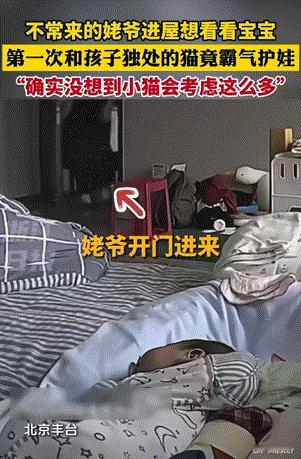 万物皆有灵性!北京,女子下楼拿快递的功夫,猫咪和孩子第一次独处。想到孩子还小确实