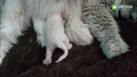 16965710890919945958.jpg?id=0