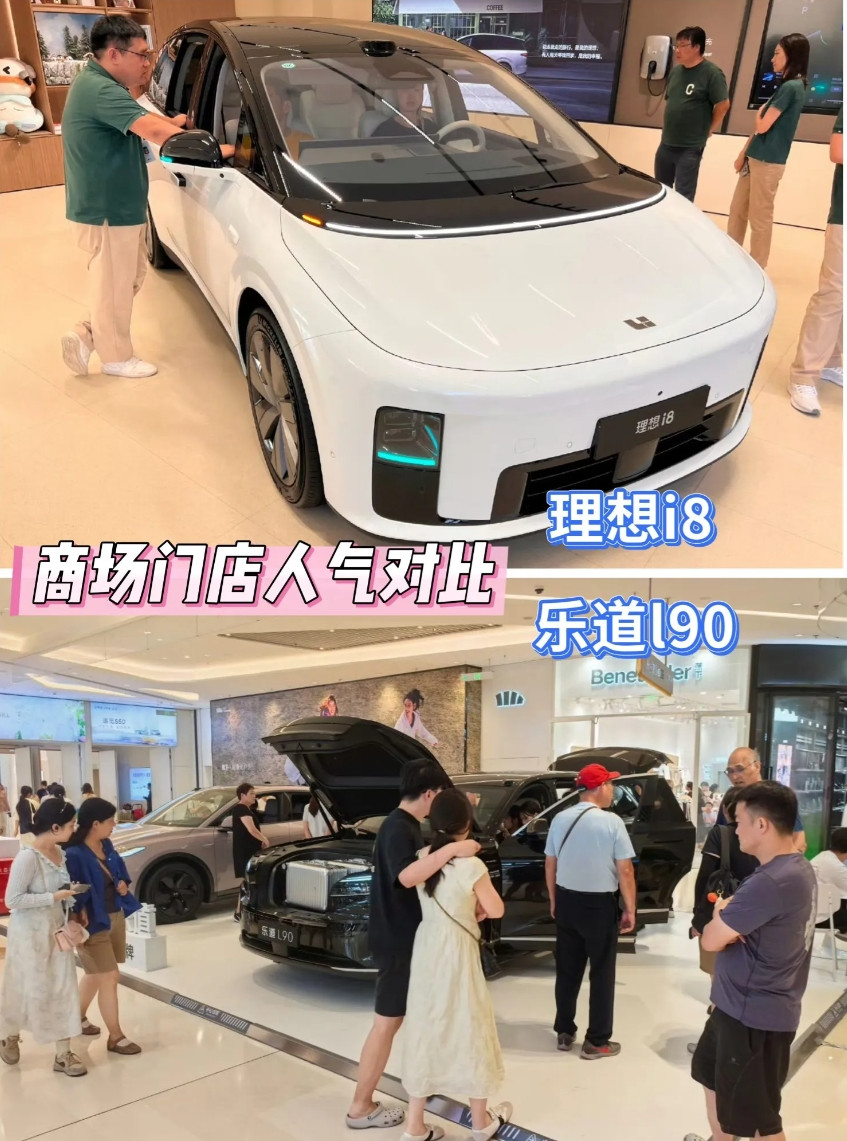 今天商场乐道l90和理想i8的人气对比，啥也不说了，看图！