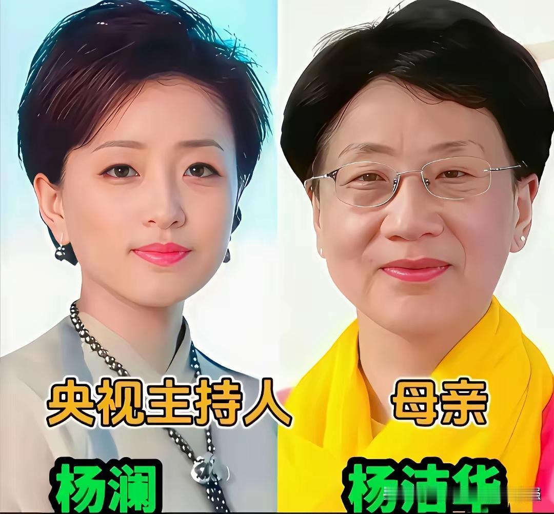 王铎：杨澜和她的母亲，还真有几分像啊！