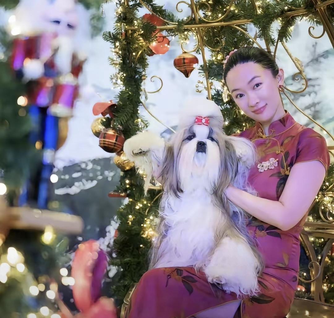 近日有网友发现霍思燕家狗狗在国际比赛中拿到十五万欧元奖金，结果这笔钱第二天就捐给