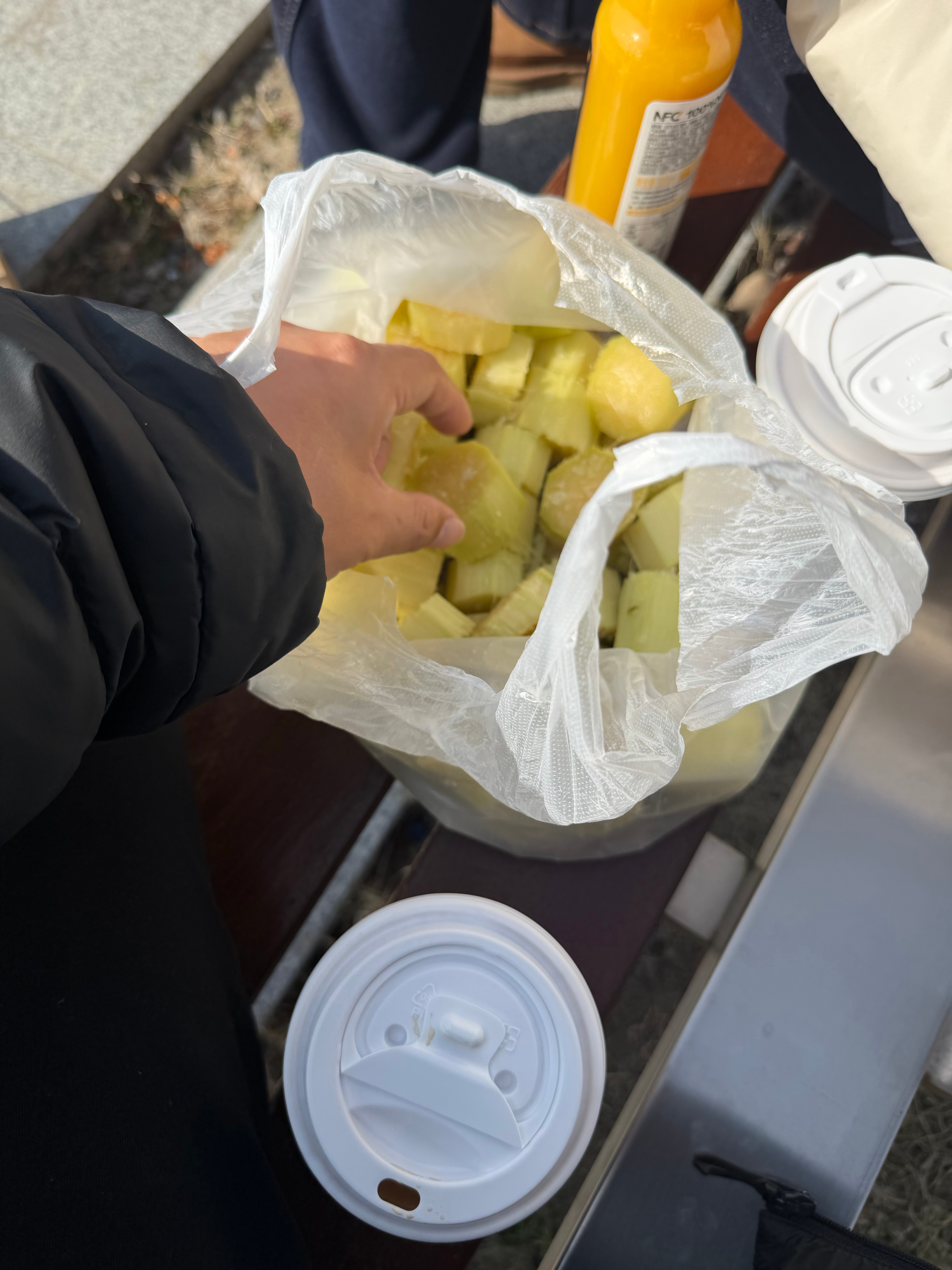 中老年生活晒太阳喝咖啡啃甘蔗吃瓜子