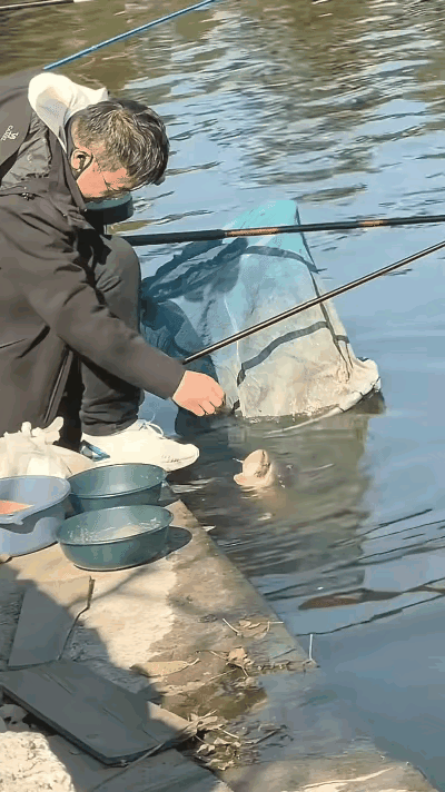 笑不活了！山东一位大哥在垂钓园钓鱼时，水里突然冒出条30斤重的大鱼——它不光不怕