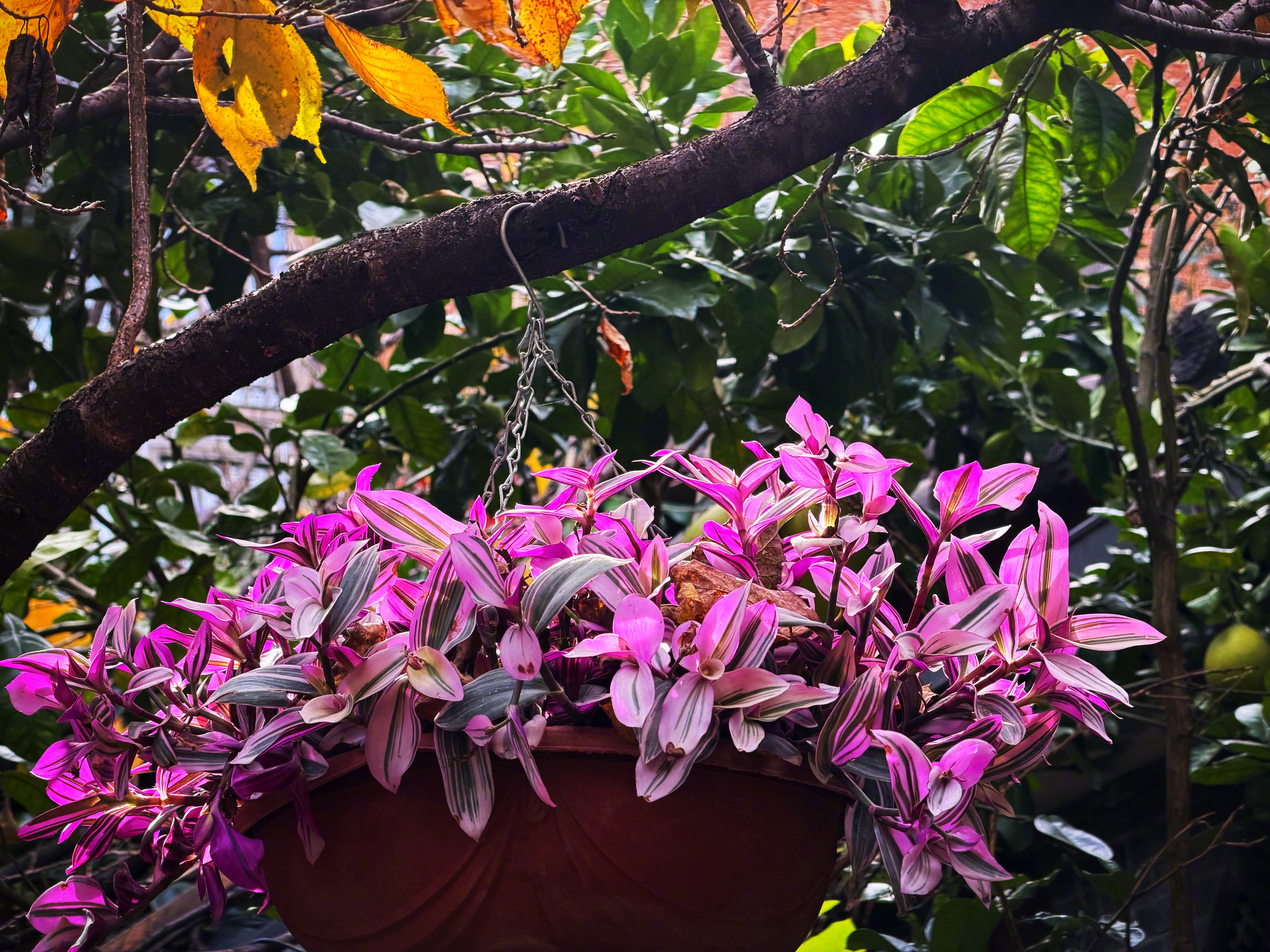 内心能安宁下来的人，并不是指安于现状的人。真正的安宁，是掌握了平衡事物的法则，既