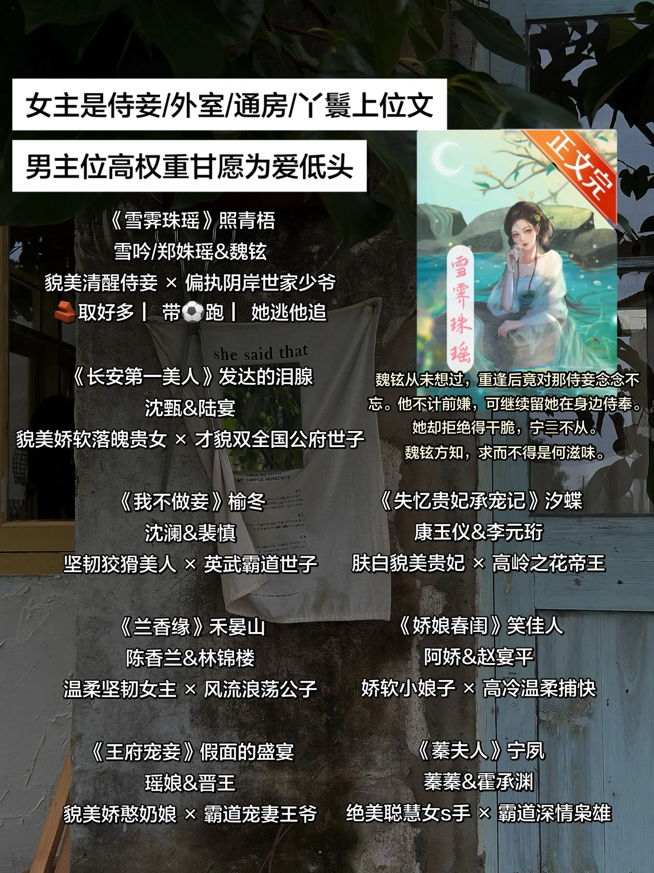 女主是侍妾/外室/通房/丫鬟上位文 男主位高权重甘愿为爱低头