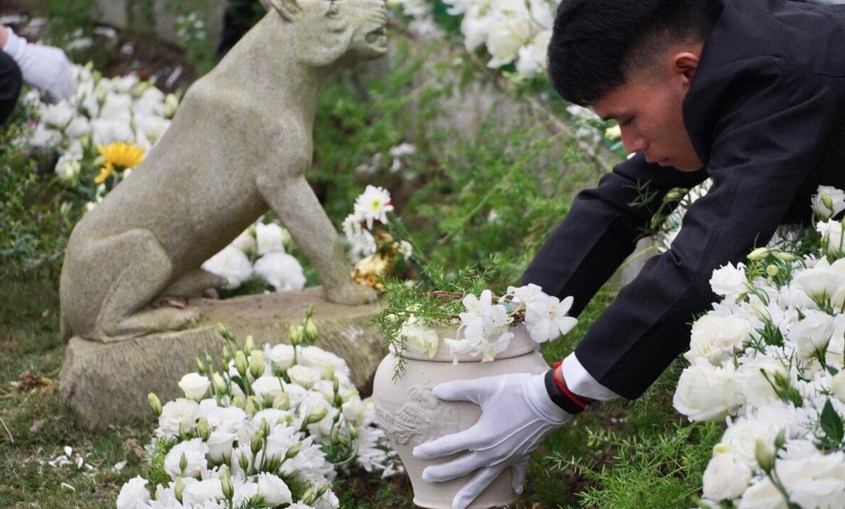 烈士纪念日这些英烈还没有回家又到一年烈士纪念日。在南阳，有一位叫杨连山的老人