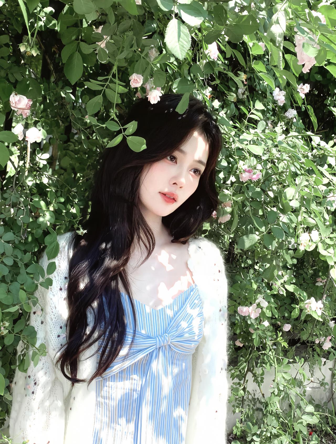 blossoms˖꒰͜͡ï͜͡꒱⁺白鹿​​​