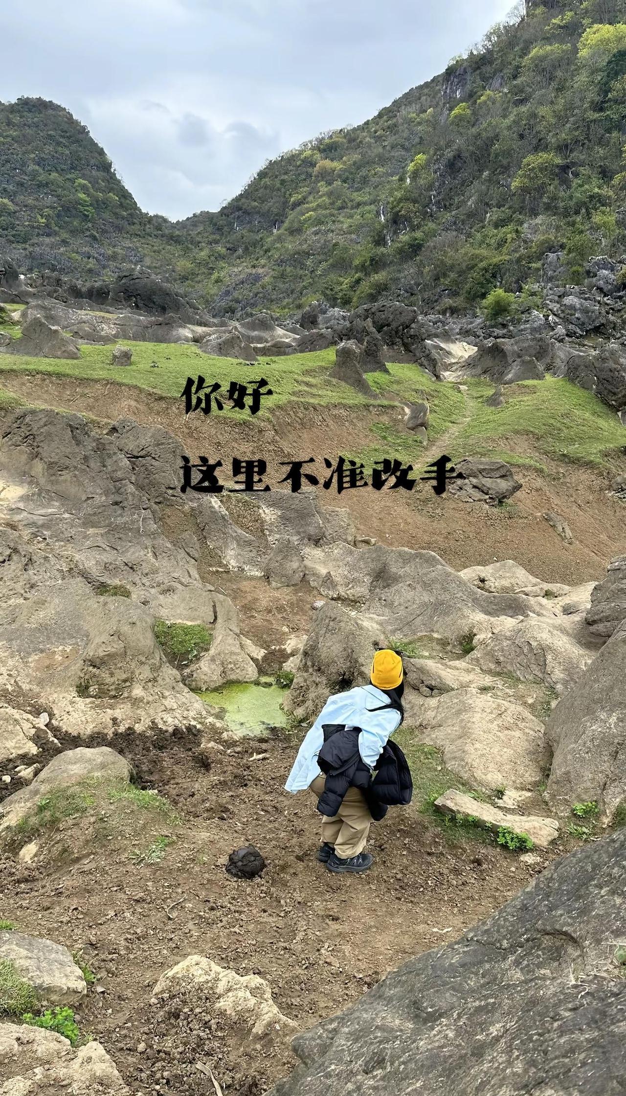 你好！这里不准改手是牛也不行！城市牛马铜鼓荡创意照片p图