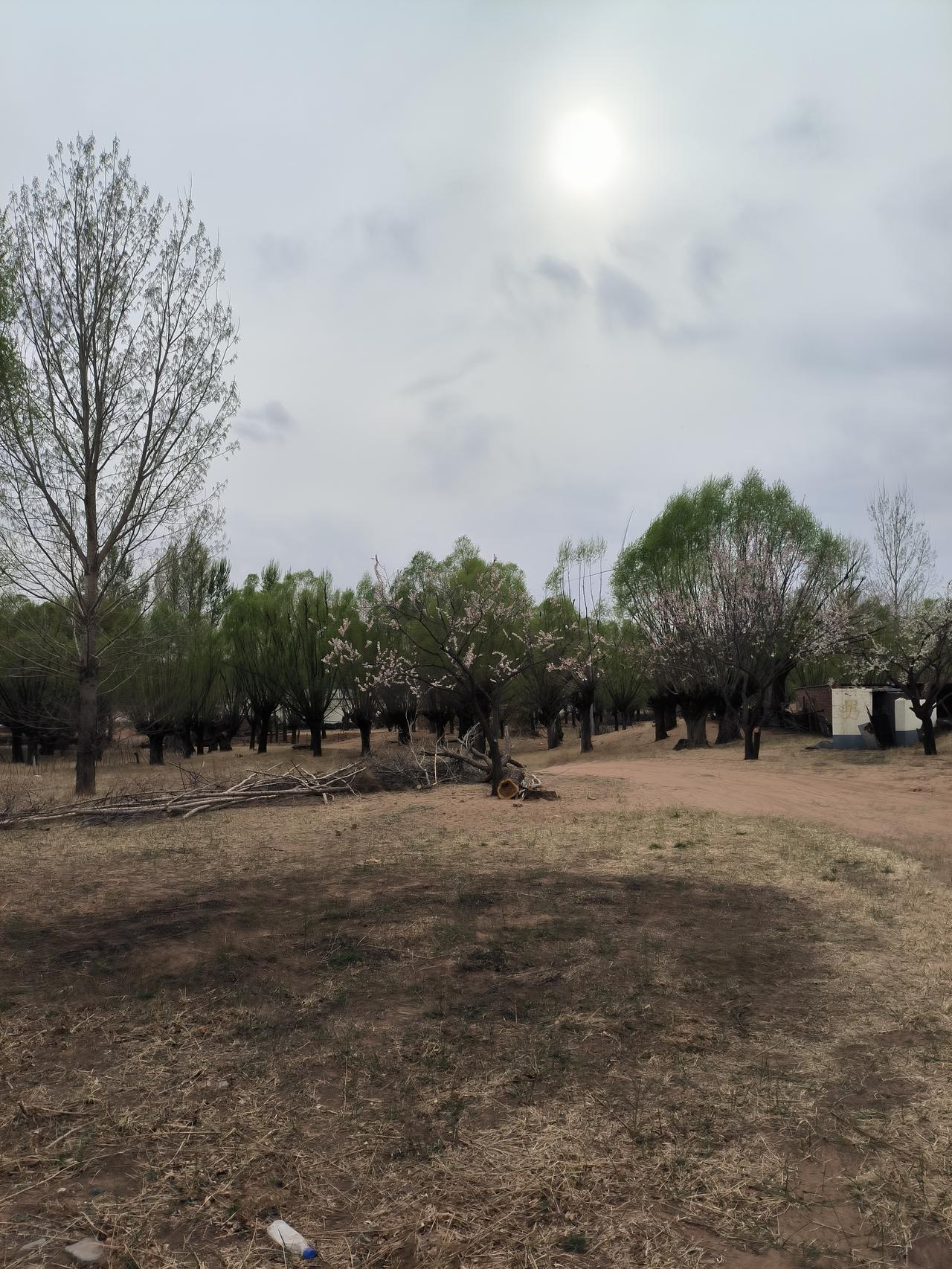 我们活着，感觉累，其实是在乎的事实在太多了。其实，人，千万不要太在乎。不要太在乎