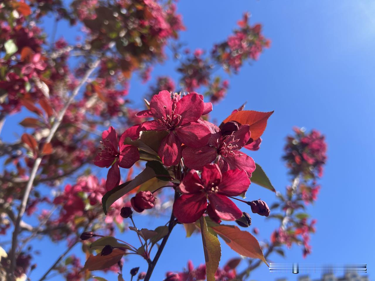 老师的一句话对孩子影响有多大?老师在孩子心中有着特殊的地位。老师说话必须谨慎