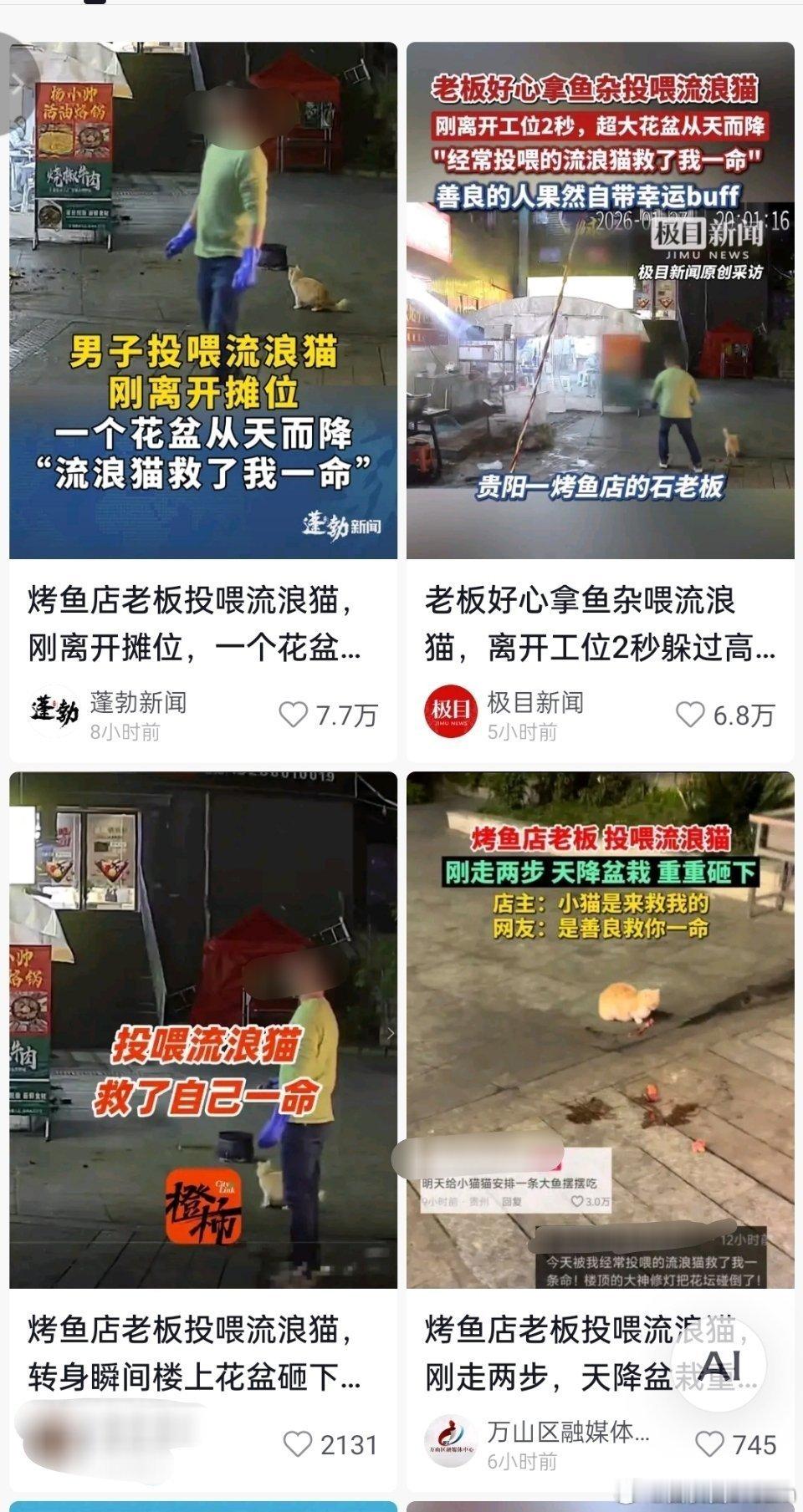 烤鱼店老板投喂流浪猫躲过一劫🔻这个位置为啥会有摄像头机位，平时有直播吗？大家都