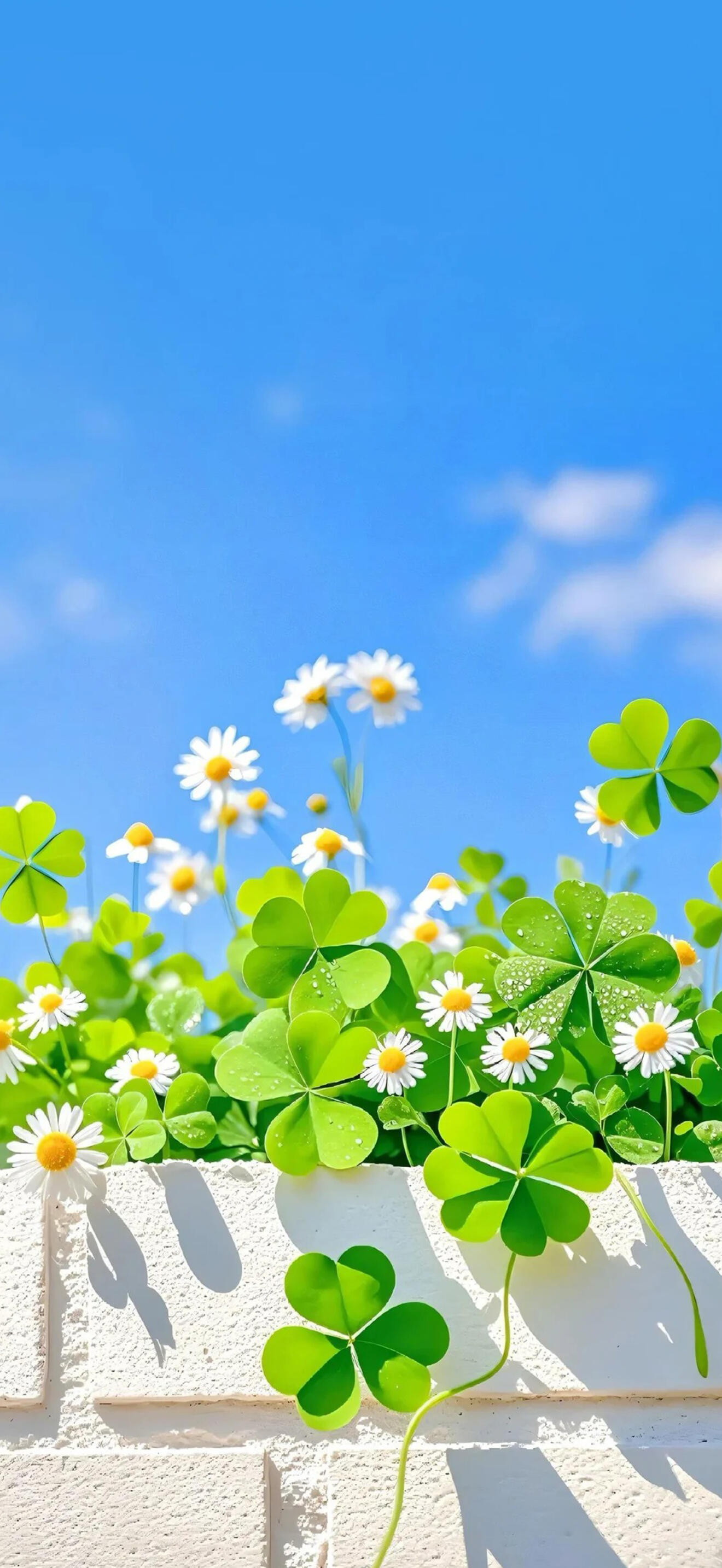 𝑺𝒉𝒂𝒓𝒆丨高清iOS全屏壁纸