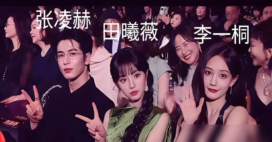 田曦薇的封神，是踩着白鹿的弃局和李一桐的意难平上位的。我告诉你真相，资本从来不信