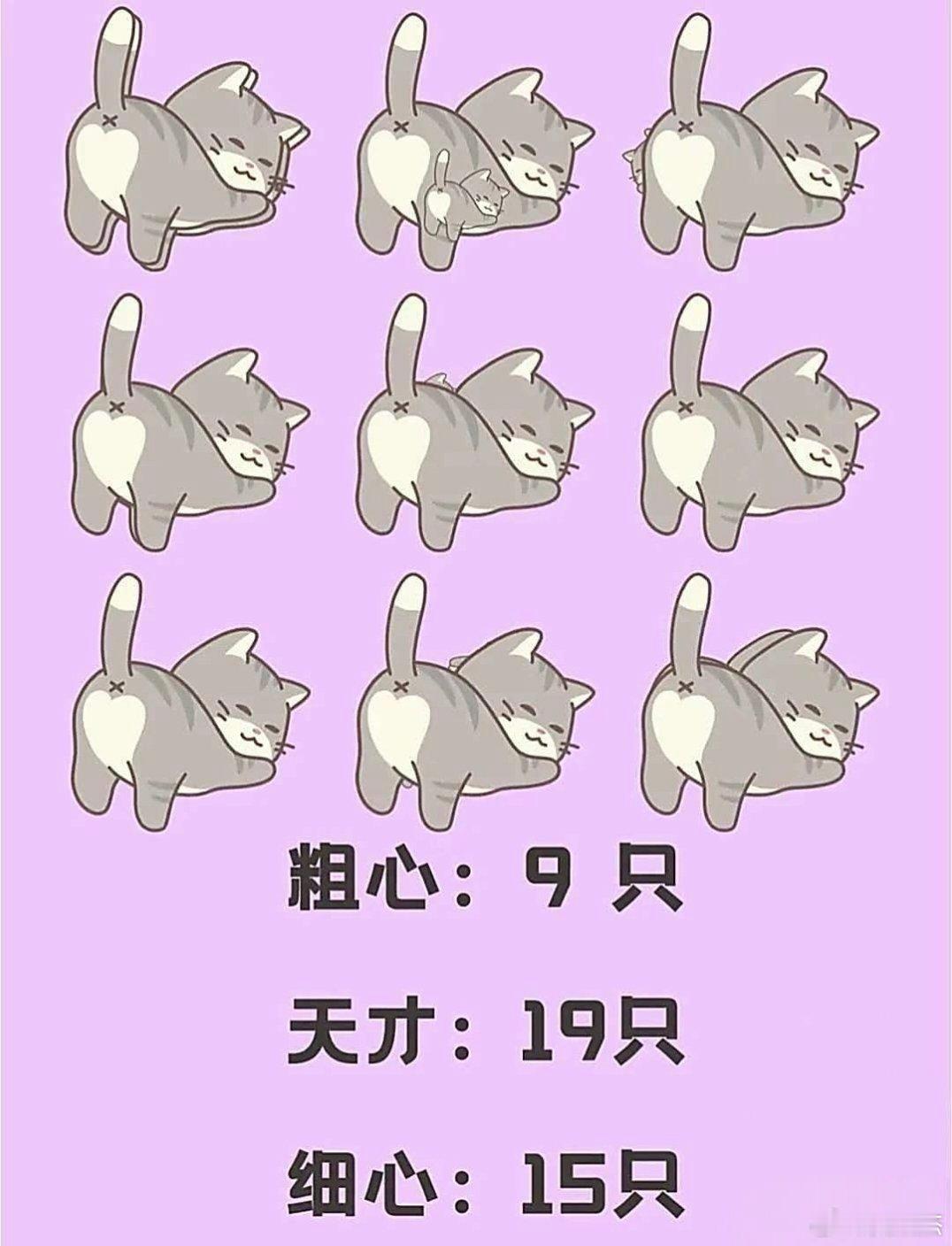 我只找到17只，还有两只在哪里？​​​