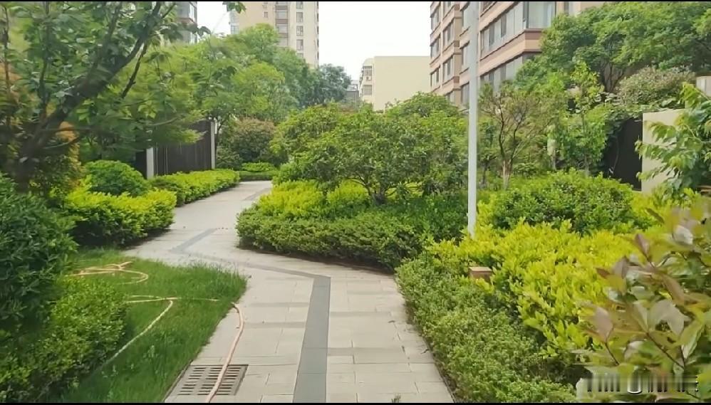 一对小青年要买婚房了，女孩的父母想着让他们离着他们近一些。于是他们俩个从女孩