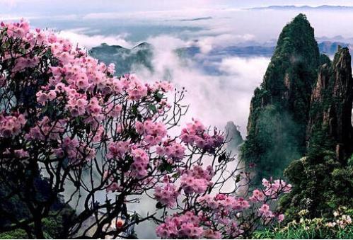 周末重磅消息，下周走势前瞻！周末重磅消息如下：其一，据媒体消息，4月10日，