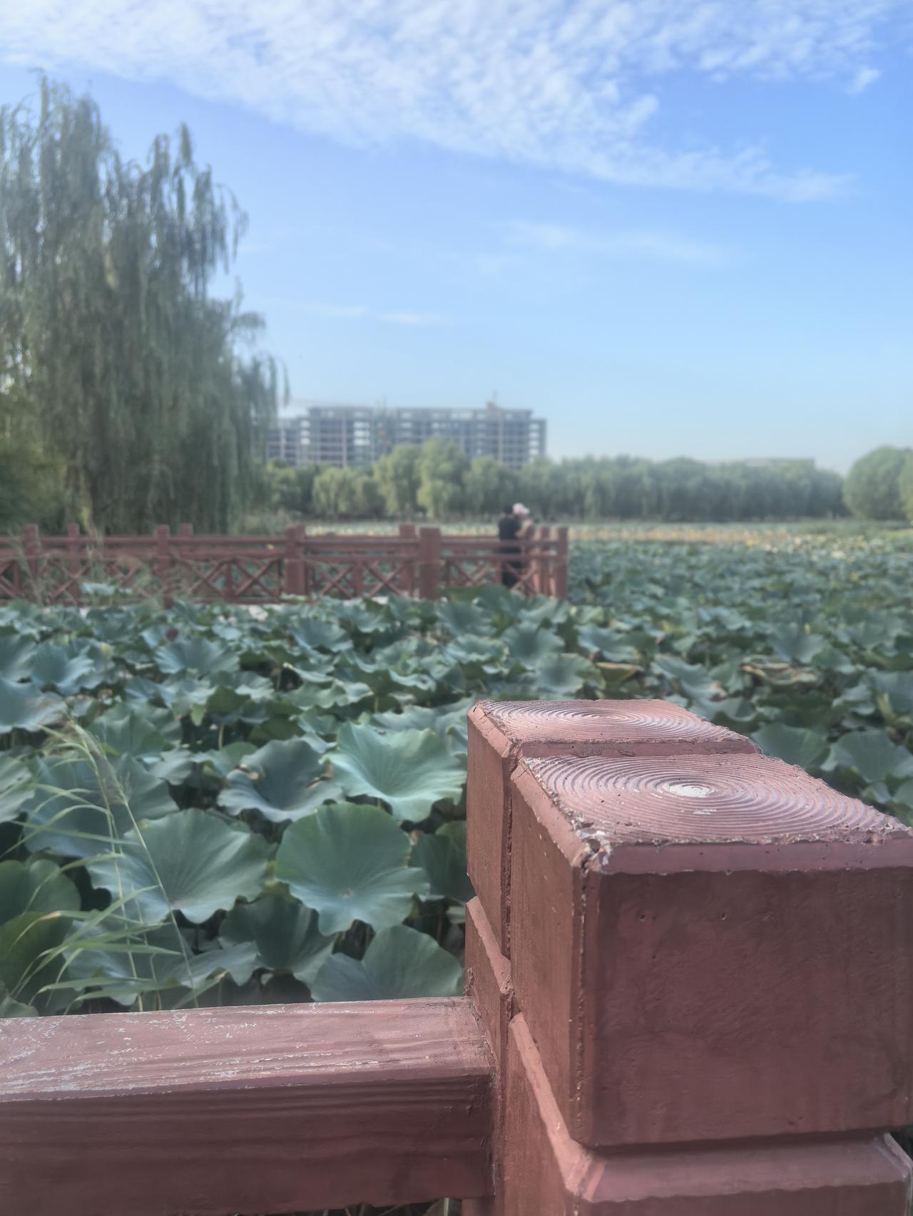 这些天，从付磊与曾梦琪，我突然间地悟出一个天大的道理。那就是几年前，我的女儿为