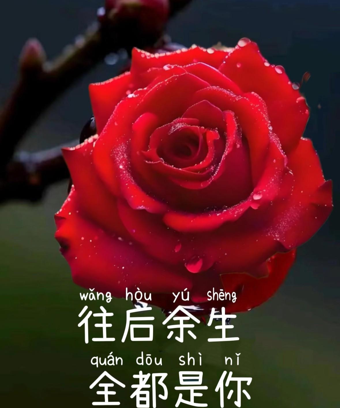 有一种爱无缘做夫妻也会在心里想你一生有一种情不能朝朝暮暮却能魂牵梦绕一