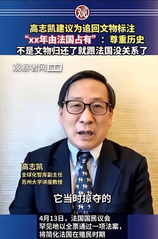 [点赞]高志凯提了个极度“扎心”的建议：以后从国外追回来的文物，玻璃柜旁边的介