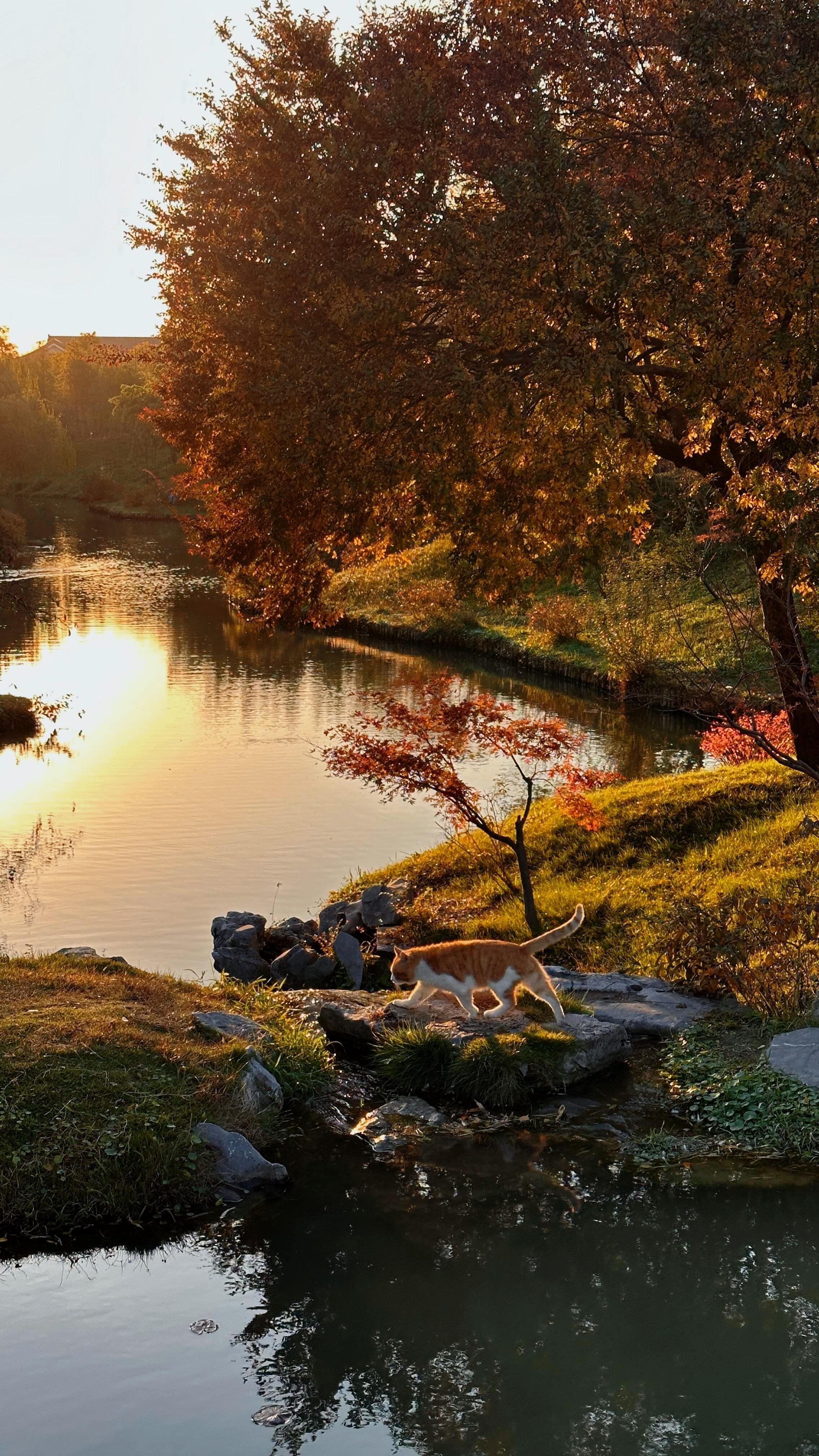 “人总在不闻不问中慢慢告别”也许很多事情可以通过努力做到，但我偏执认为，一段长久