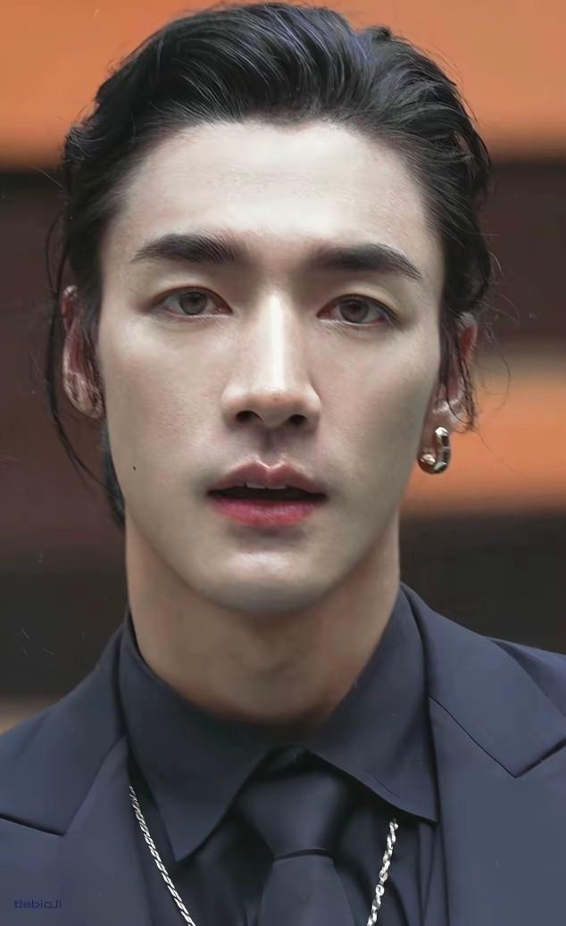 此沙的骨相和金城武的骨相谁的更好看？此沙和金城武都是那种骨相皮相非常完美的帅哥，