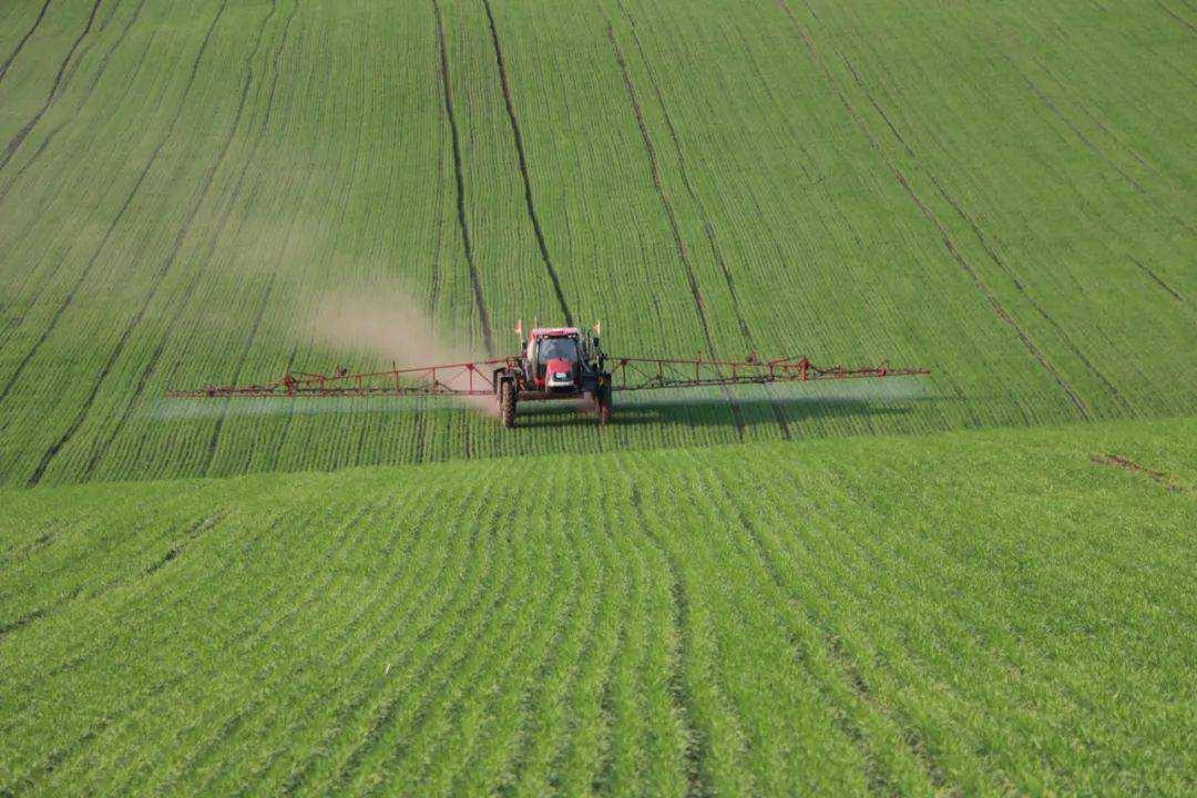 一个很奇怪的现象，欧洲在疯狂种植大麦，中国却宁愿花钱进口，也不愿种植大麦，这背后