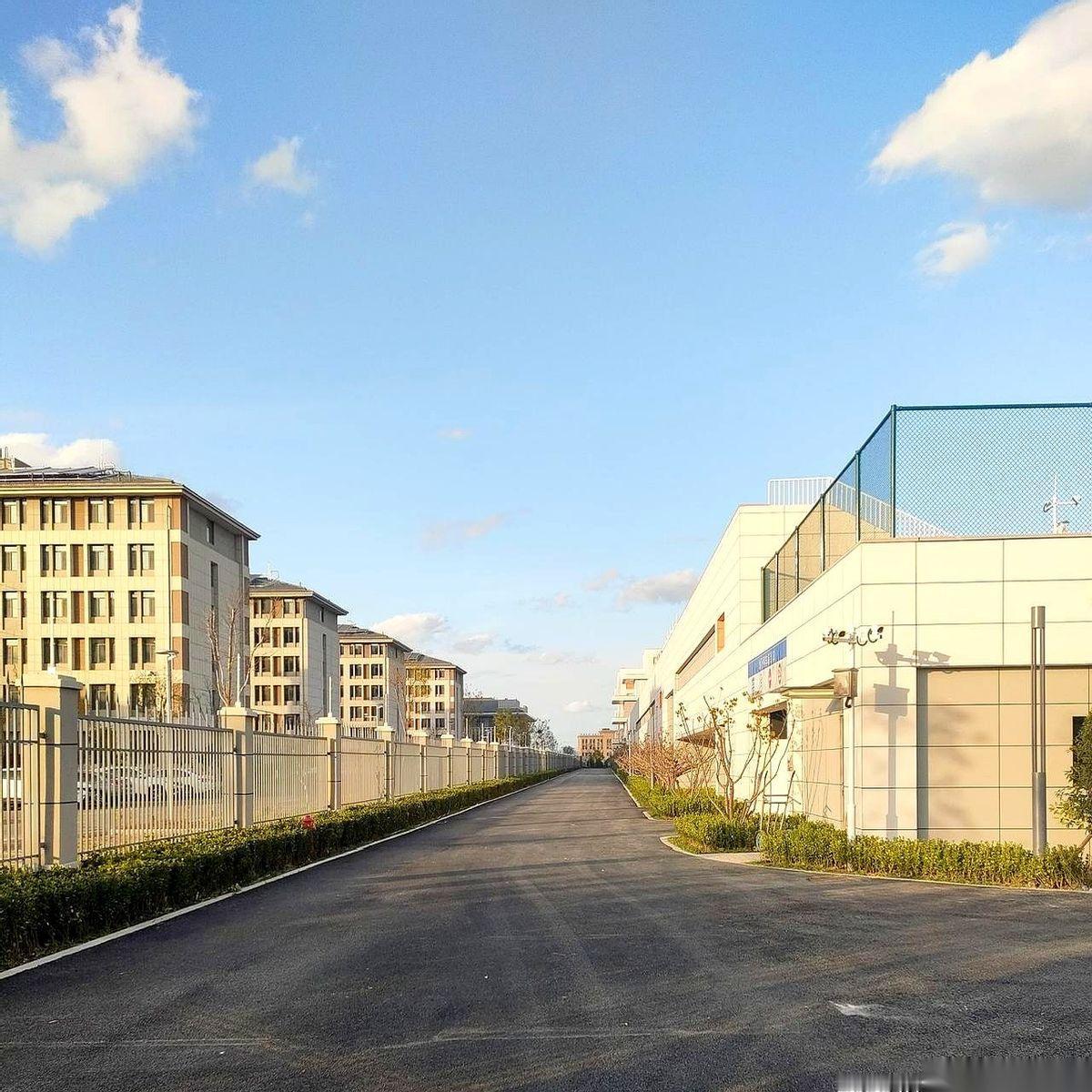 你说这叫分家了？我每次路过幸福新城，看到那两所新学校，都想笑。烟台一中和芝罘