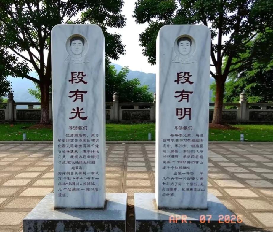 去年清明，我在麻栗坡烈士陵园拍视频，走到96排，一眼看见"段有光"和"段有明"两