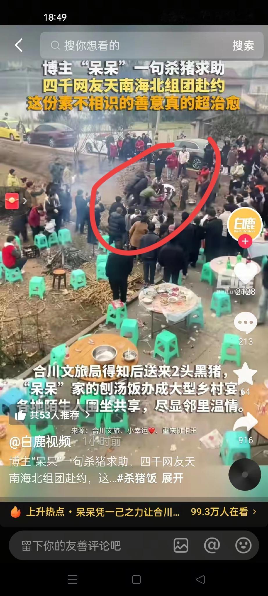 这下闯大祸了！重庆合川区，一位叫呆呆的博主发视频说，1月11号她家里要杀两头猪