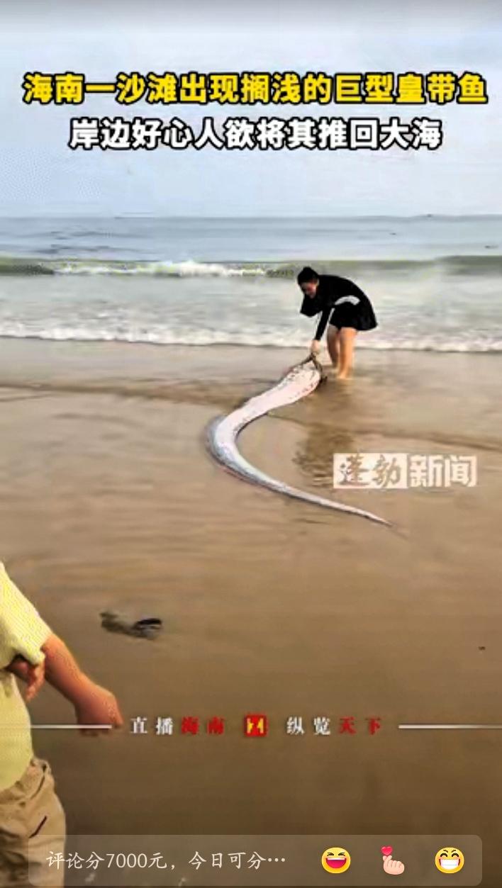 太罕见了，海南，一女子在海边游玩时，突然发现有个东西被海水冲了上来，上前一看竟然