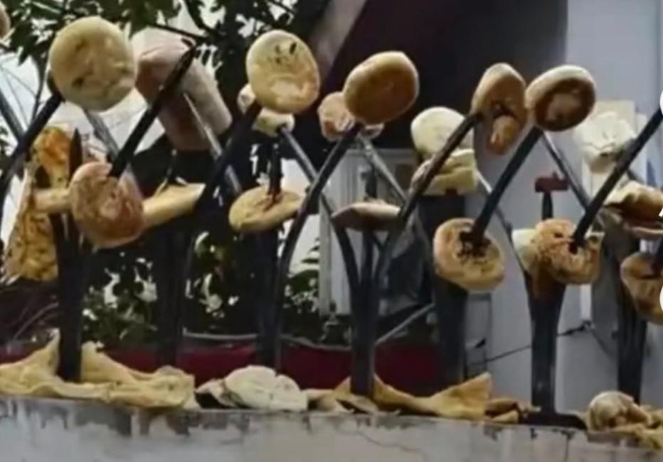 防盗刺变“晾晒架”:天津小区的荒诞与隐忧10月29日,天津园荫里社区围墙上