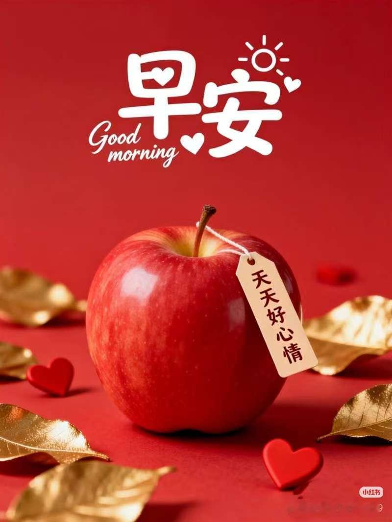 美麗冰冷的冬天，旭日遲緩中升起，陽光帶來了明媚，問候送去了平安，祝福呈上