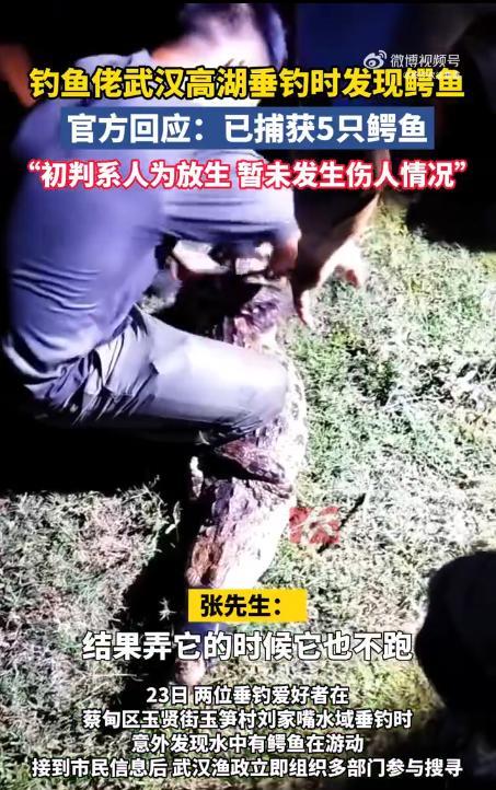 “无知真可怕！”8月23日，湖北武汉，2名钓鱼佬在河边钓鱼时，意外发现水中有1米
