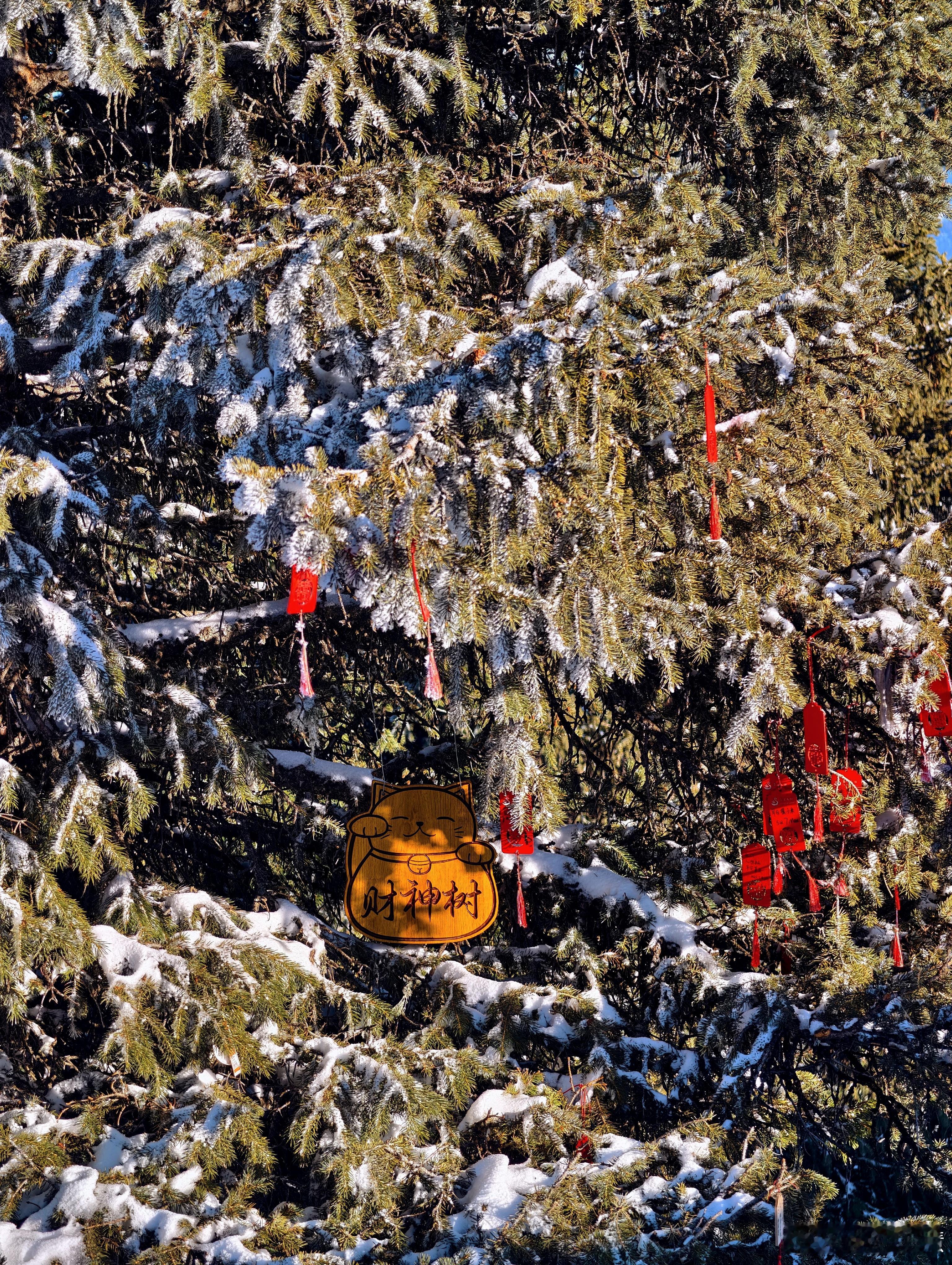 山姆你还续卡吗感觉没啥好续的了人太多了推车又大过道太窄分区布局极度不合理就是个新