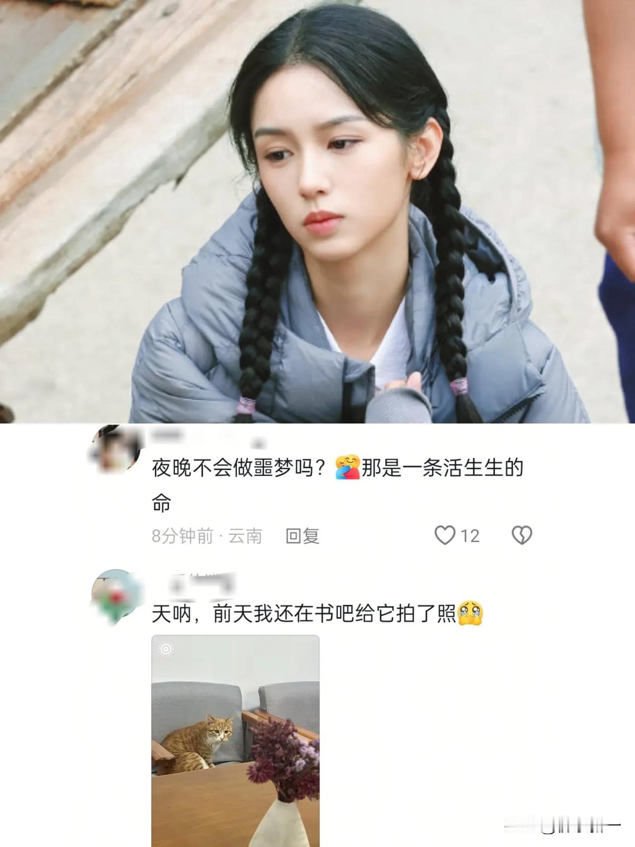 周也又摊上事了！一番大女主新剧《红舞鞋》刚开机不久就惹上了云南大学学生，据传