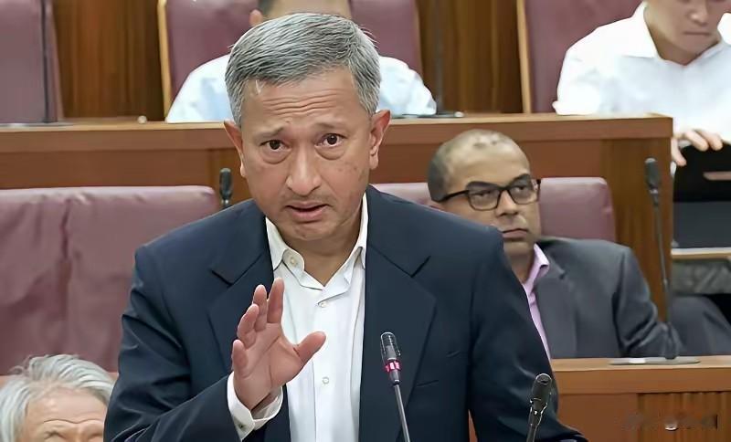 东盟会议吵翻了！新加坡急怼中国，印尼硬刚护直航，真相太现实。在东盟区域互联互通