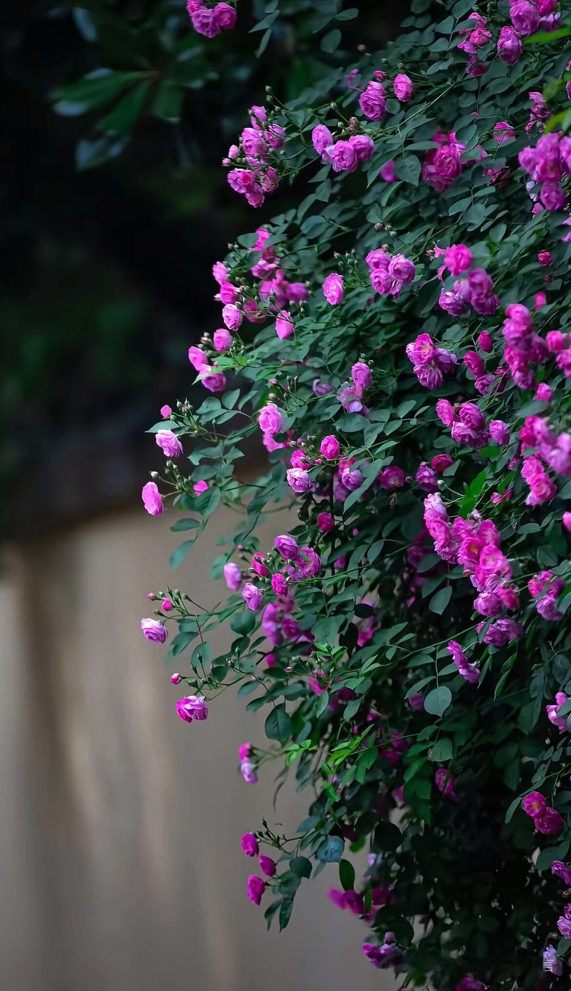 天蝎女是唯一一个连抑郁症都能够自愈的星座说实话没有哪个能够配得上天蝎女的真诚