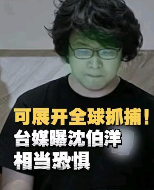 挑衅法律终遭惩！“台独”分子外逃叫嚣，.逃犯引渡落网敲响警钟11月12